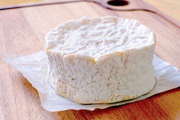 Camembert cheese with mold. Cheese is good for health and digestion. The concept of healthy eating.