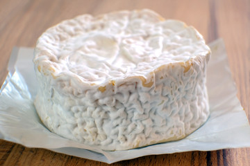 Camembert cheese with mold. Cheese is good for health and digestion. The concept of healthy eating.