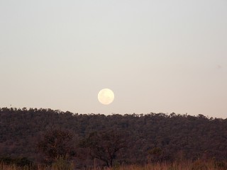 MOON IN BETWEEN CERRADO