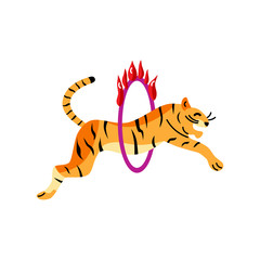 Fototapeta na wymiar Tiger is jumping through flaming hoop. Circus performancer vector illustration isolated on white background. Flat style design element.