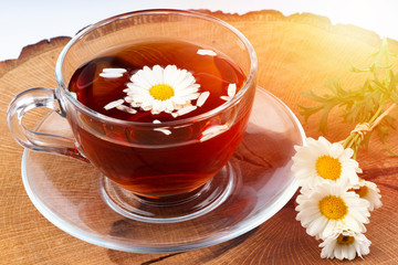 cup of tea with chamomile flowers
