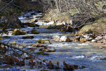 Fiume Brenno sul Lucomagno