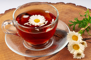 cup of tea with chamomile flowers