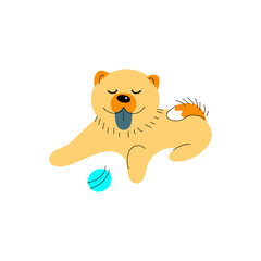 Vector illustration of chow chow dog in hand drawn sketch style. Flat and line design element isolated on white background.