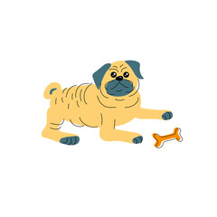 Vector illustration of pug dog in hand drawn sketch style. Flat and line design element isolated on white background.