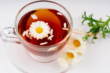 cup of tea with chamomile flowers