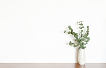 Dry Eucalyptus branches in vase on white background. Copy space. - Image