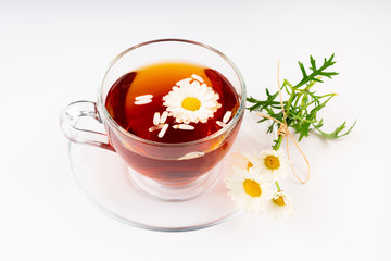 cup of tea with chamomile flowers
