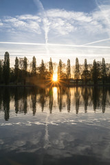 Obraz premium beautiful sunrise in a parc