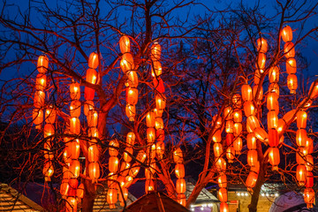 Various bright Chinese small lamps in the park. Garland. An unusual decor for streets and the house. Festive mood
