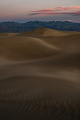 Soft light falls on desert sand dunes. Death Valley National Park sand dunes are blanketed in soft pink light in this before sunrise shot. The desert is a natural phenomenon that holds uniqueness