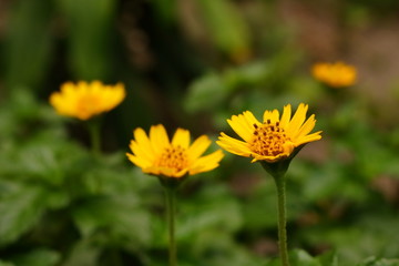 We are bright (3)