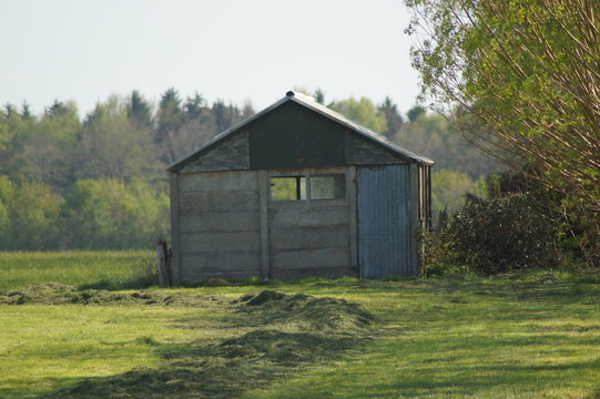 old shed in a field