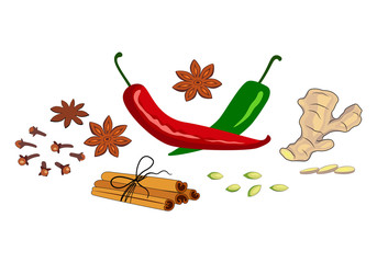 Composition of spices and herbs on the market. Assorted oriental spices - pepper, paprika, turmeric, ginger, cardamom, cinnamon, chili, clove, saffron, anise. Vector illustration.