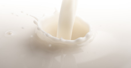 splash of milk 