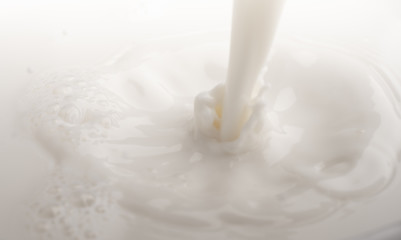 splash of milk 