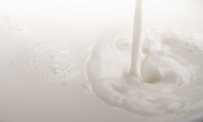 splash of milk 