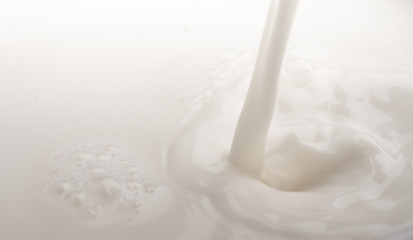 splash of milk 