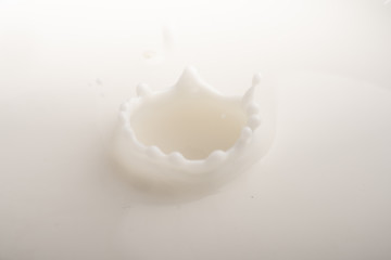 splash of milk 