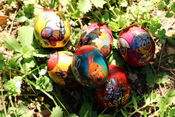 colorful  easter eggs in green grass