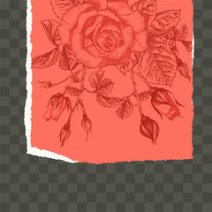 Trendy easy editable template for social media post in torn paper style. Roses flower theme Creative design background for individual and corporate web promotion, blogs