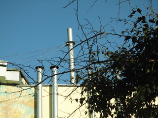 arbre ciel industrie
