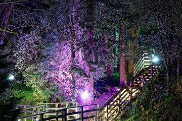 Woodford Bridge at Night