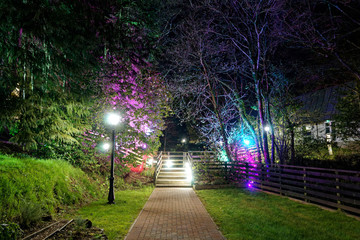 Woodford Bridge at Night