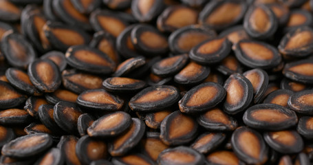 Chinese new year black melon seed