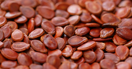 Chinese new year red melon seed
