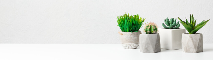 Potted succulent and grassy plants over grey wall - Powered by Adobe