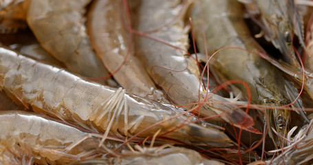 Stack of fresh shrimp