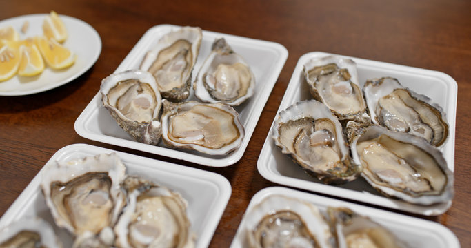 Raw fresh oyster