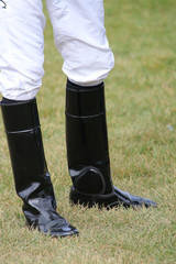 Thoroughbred Horse Racing Details