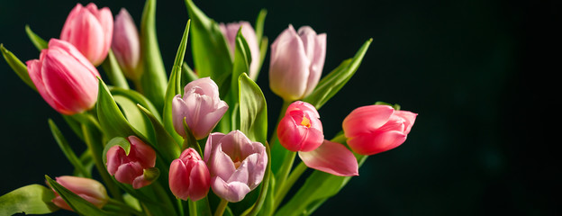 Fototapeta premium Bouquet of pink tulips