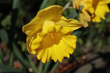 Spreewald Lübbenau Lehde Kahnfahrt Schifffahrt Ostern Familienausflug
