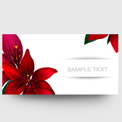 Business card design with red lilies and sample text