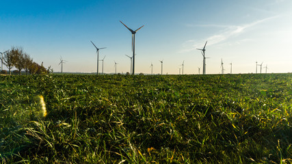 landscape with windmills on a field
