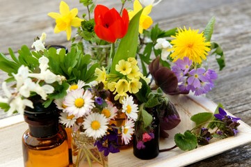 Heilpflanzen, Tinktur, Naturheilkunde