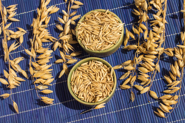 Reap of oats  and bowl with grain on blue background. Top view.