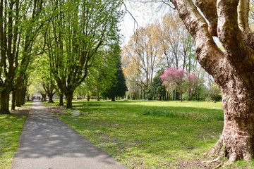 Y Betws Park Ammanford