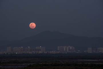 Pink Moon . Pink Moon April