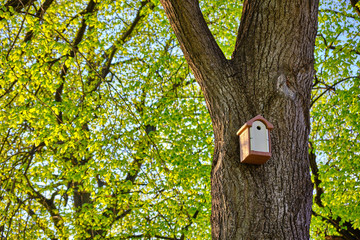 Ein Nistkasten an einem Baum, Unterschlupf für kleine Vogelarten und zum Tierschutz.