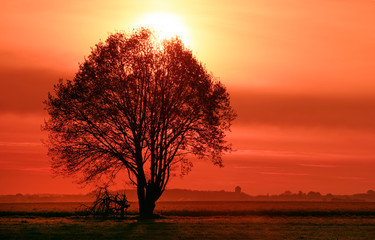 Fototapeta premium Sunrise on fields of the the French gâtinais regional nature park