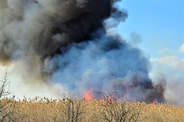 fire and smoke in the sky