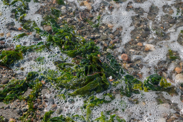 Obraz premium Overhead view of beach waves and foam v8