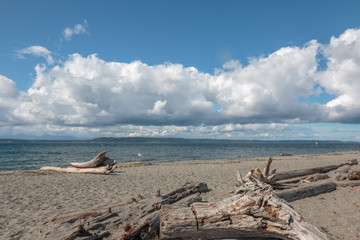 Cloudscape over sandy beach and driftwood.