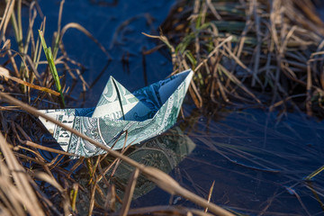 A toy paper boat out of a dollar bill stuck in the undergrowth