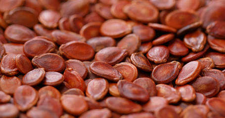 Chinese new year red melon seed