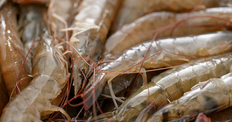 Fresh uncooked shrimp